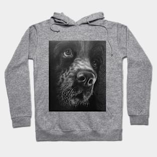 Dog Hoodie